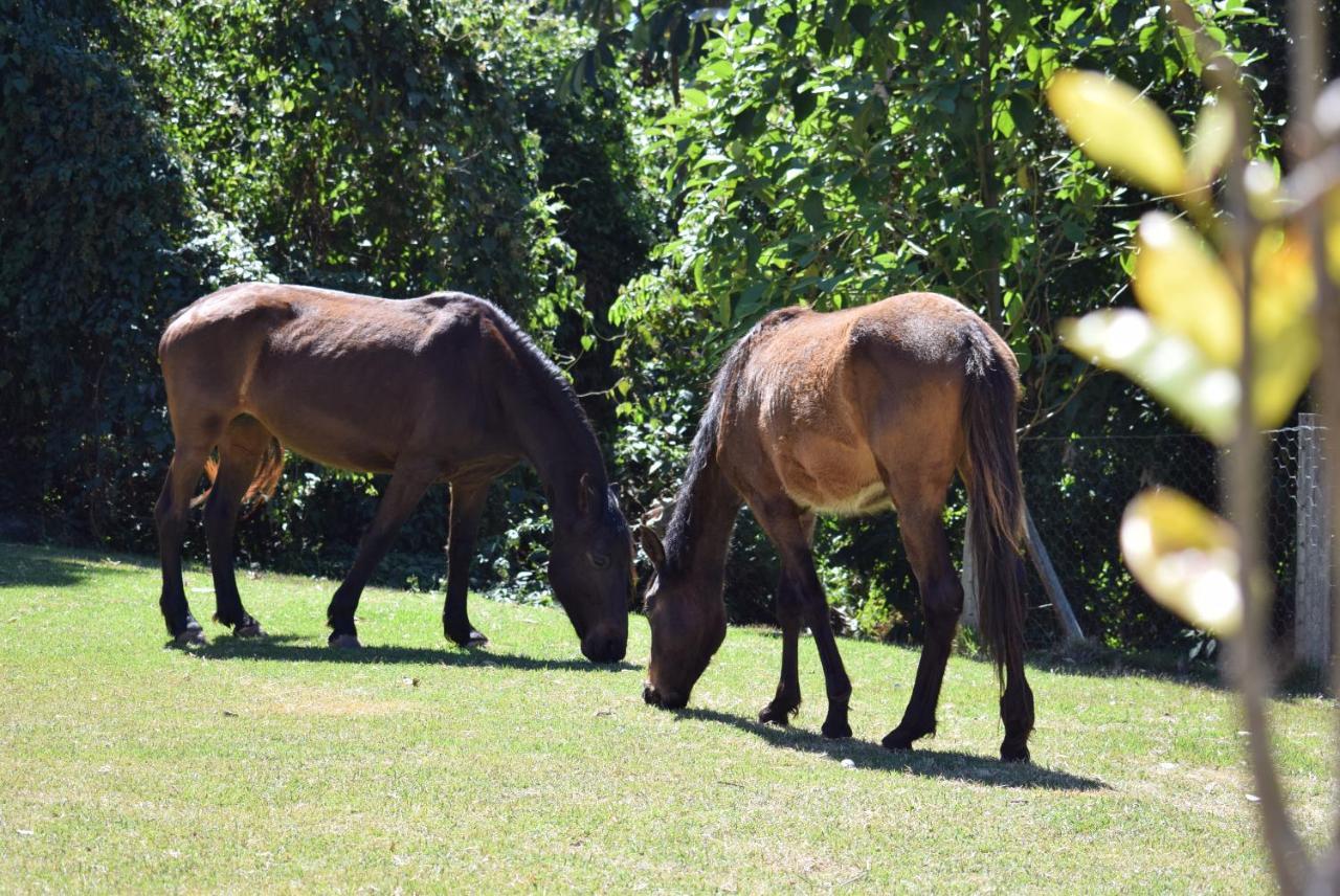 Pousada Appaloosa Águas de Lindóia Εξωτερικό φωτογραφία